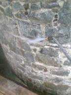 castlepark gate - 14345.jpg